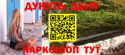 индика Новодвинск