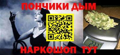 индика Новодвинск