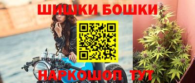 индика Новодвинск