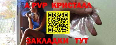 индика Новодвинск