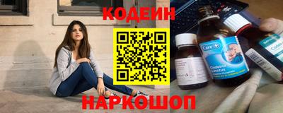 индика Новодвинск