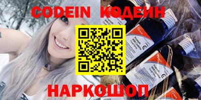 индика Новодвинск